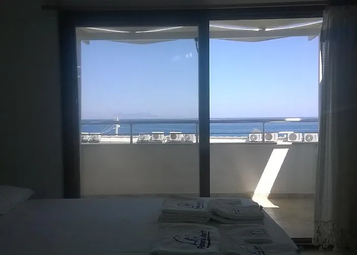 Palmaris Паламутбуку