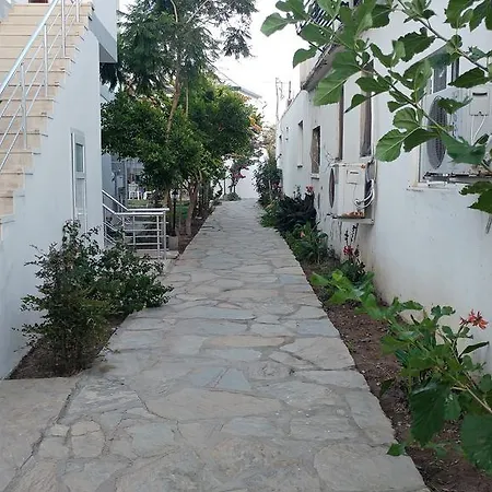 Palmaris * Palamut Buku