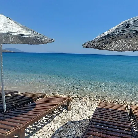 Palmaris * Palamut Buku