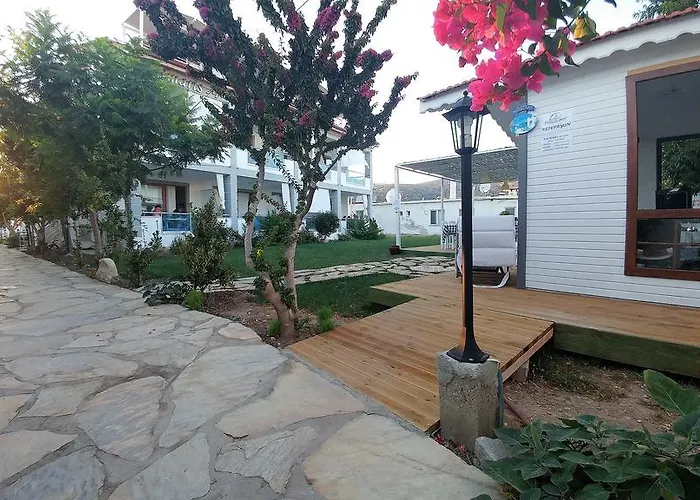 Palmaris פלמוטבוקו