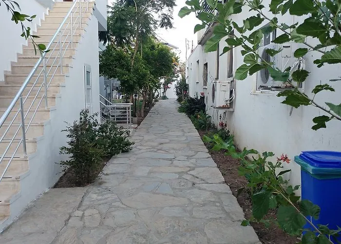 Palmaris * פלמוטבוקו