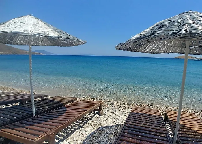 Palmaris * פלמוטבוקו